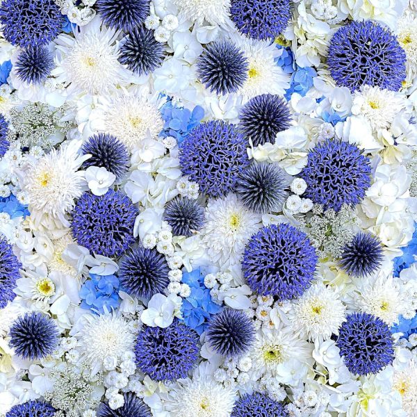 Hand Picked Forget Me Not - Global Thistle For Cheap